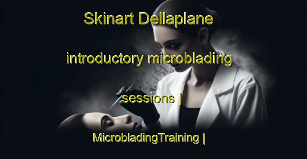 Skinart Dellaplane introductory microblading sessions | MicrobladingTraining | MicrobladingClasses | SkinartTraining-United States